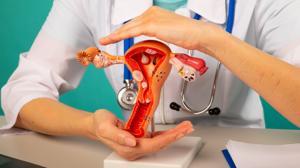 Women’s Health (Gynecology and Obstetrics)